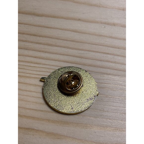 NC HOSA District Finalist Pin Gold & Blue Metal Round Lapel Badge - Picture 2 of 3